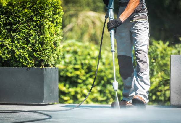 Best Winterizing Services  in Auburn, MI
