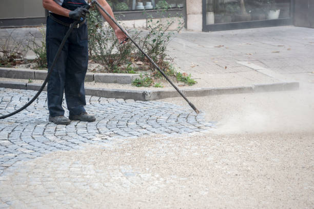 Best Parking Lot and Garage Cleaning  in Auburn, MI